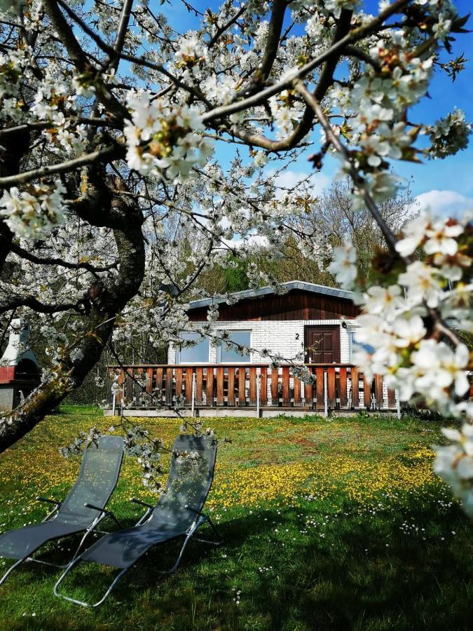 Ferienhaus Chiara, Südharz, Harztor Ilfeld Exterior foto